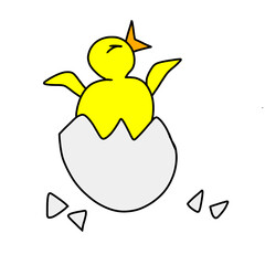 Cute newborn yellow chick hatching from an egg vector illustration, funny cartoon baby bird breaking out of eggshell isolated on white or transparent background, can be used for Easter concepts © Alfi 