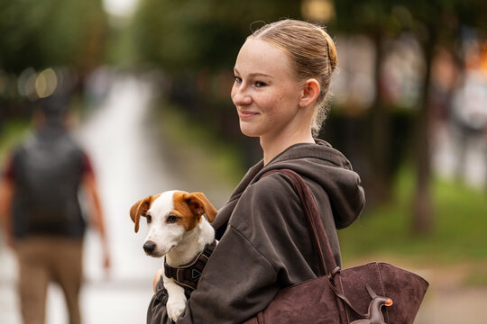 Smiling young woman carries her Jack Russell puppy in a park