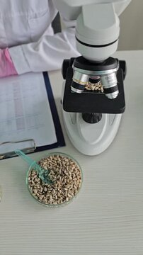 A scientist studying sunflower seeds under a microscope. Nutritional analysis of sunflower seeds and their health effects.