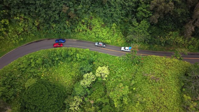 Overhead aerial of colorful cars driving a sharp curve on the Road to Hana in Maui Hawaii surrounded by dense green tropical rainforest canopy and lush jungle vegetation on the island.