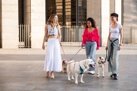 Three happy women enjoying a walk with their pet dogs in the city