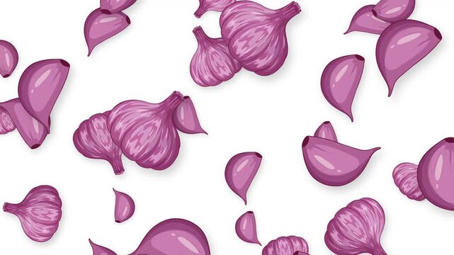 Falling Purple Garlic Bulbs and Cloves Animation on White Background