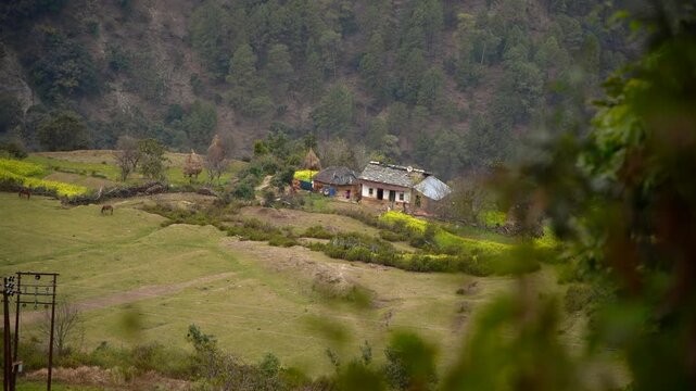 Traditional Rural Farmhouse Surrounded by Fields in Forested Hilly Countryside