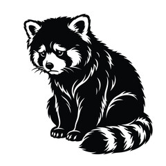 Fototapeta premium Black and white of a sitting red panda animal mammal