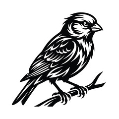 Fototapeta premium Black and white of a small sparrow perched on a branch