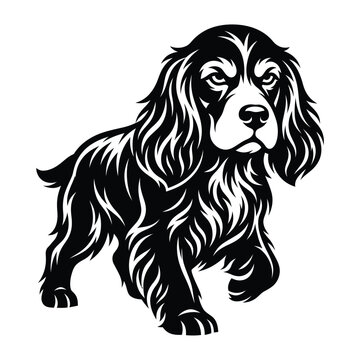 Black and white of a standing cocker spaniel dog puppy