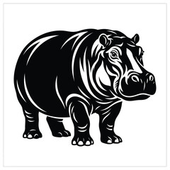 Fototapeta premium Black and white of a standing hippopotamus animal wildlife