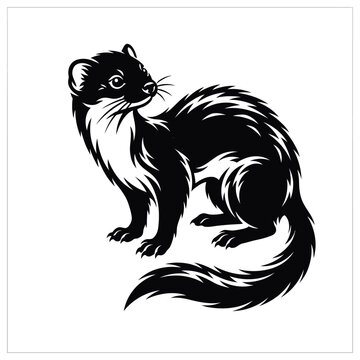 Black and white of a stoat or weasel ferret mink animal