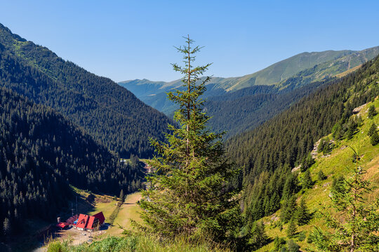 Forested mountain valley along the Transfagarasan road in the Carpathian Mountains of Romania