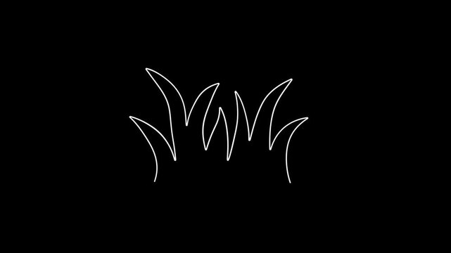 Grass sketch animation, grass with outlines, cartoon doodle style, dark background, suitable as an additional element for your video projects, 4K video.
