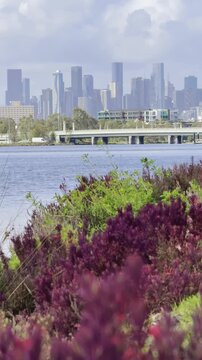 A panoramic view of Melbourne CBD skyscrapers and the slow-flowing Maribyrnong River, seen from Footscray Park, Victoria, Australia.