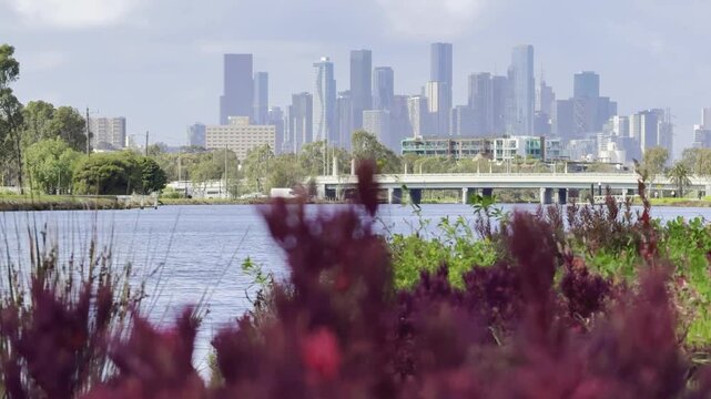 A panoramic view of Melbourne CBD skyscrapers and the slow-flowing Maribyrnong River, seen from Footscray Park, Victoria, Australia.