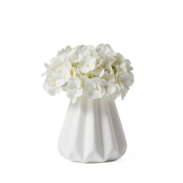 Soft fabric vase. A robust white hydrangea bloom (Hydrangea macrophylla) sits in an unusual vase made of stiffened, folded white
