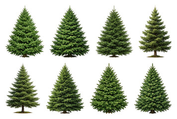 Obraz premium PNG Set of realistic evergreen tree cutouts isolated on transparent background transparent background