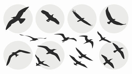 Fototapeta premium Fifteen unique seabird silhouettes flying in dynamic formation against neutral background