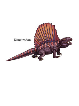 Dimetrodon Prehistoric Reptile Scientific Illustration Isolated on White Background