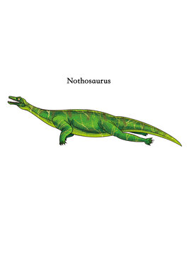 A standing Nothosaurus from the age of dinosaurs.