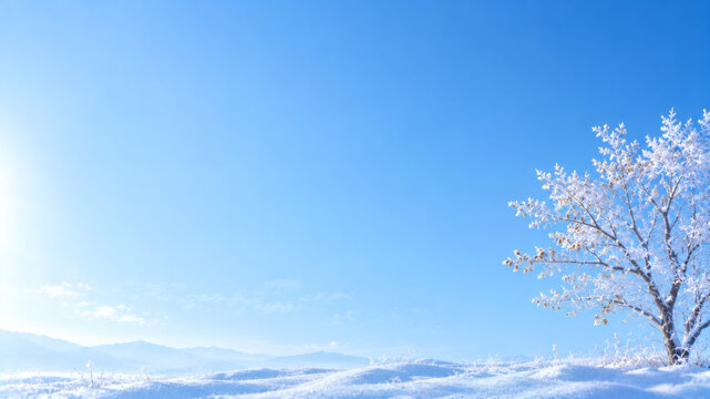 葉を残して凍り付いた木の冬景色　雪原に佇む霧氷の樹木と広い余白を活かしたシンプルな冬背景