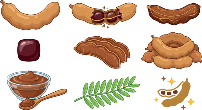 Tamarind Fruits and Pulp Set with Leaves and a Bowl Featuring Branch, Tropical