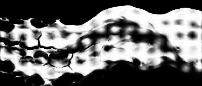 Black organic ink flow shape on halftone dot background with halftone abstract monochrome background splatter minimalist contrast creative backdrop composition template