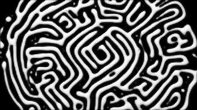 Intricate black and white maze pattern with labyrinth circular abstract geometry halftone monochrome background contrast backdrop artistic structure creative ornament