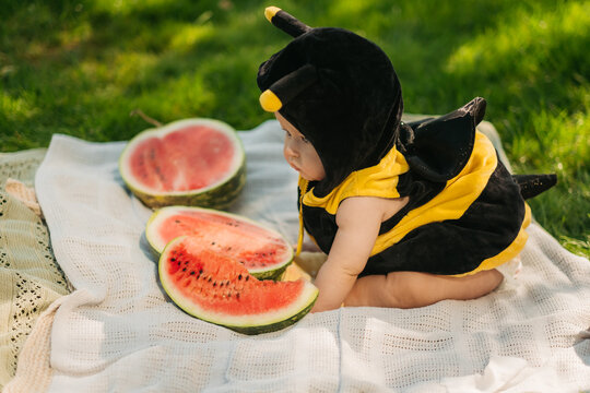 Baby in bee costume lying on blanket eating fresh red watermelon slice during summer picnic on green grass outdoors, childhood concept.