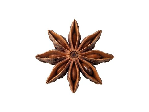 Whole star anise spice with twelve pointed pods arranged in circular pattern on white background