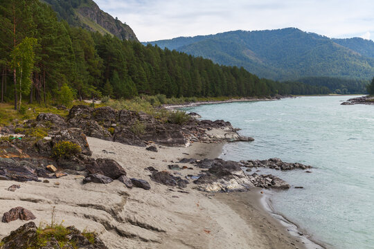 Katun river coast, Siberian landscape photography taken on a summer day. Altai Republic, Russia