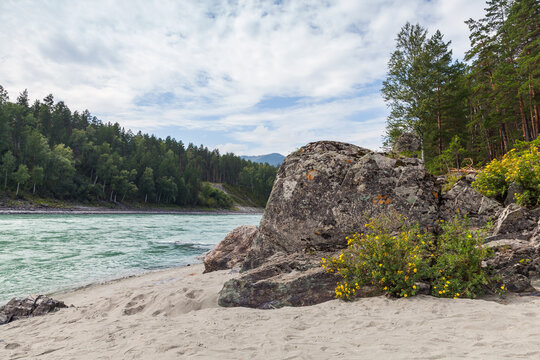 Landscape photography taken on a summer day at the rocky coast of Katun river. Altai Republic, Russia