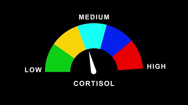 Cortisol stress level gauge meter showing high measurement isolated on white background