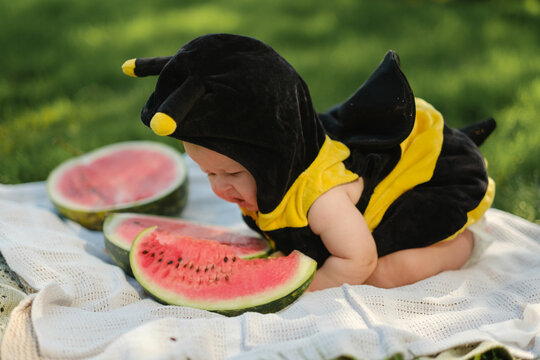 Baby in bee costume lying on blanket eating fresh red watermelon slice during summer picnic on green grass outdoors, childhood concept.
