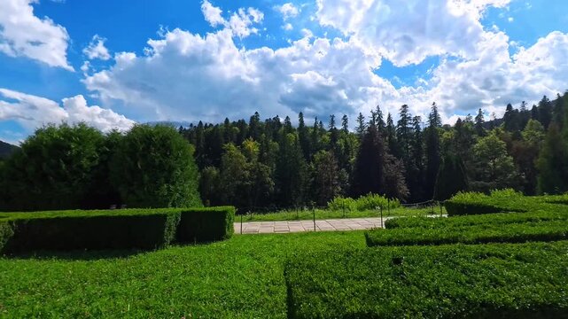 Garden Path Surrounded by Lush Vegetation With Forested Carpathian Mountains in the Distance, Sinaia, Romania - SIDE POV VIDEO - NO AUDIO