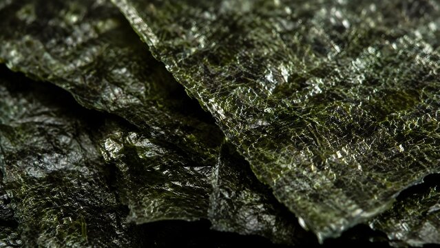 Nori Seaweed Texture Background