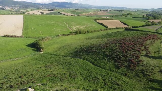 Campagna toscana in primavera