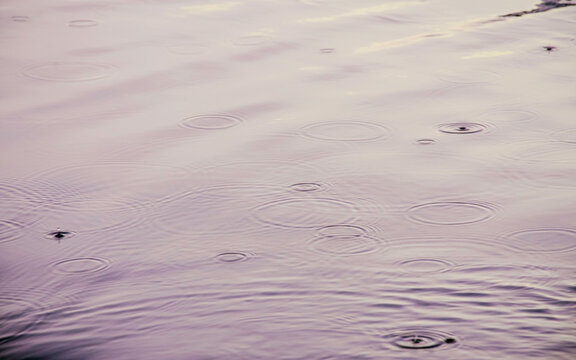 Close-up view of raindrops falling onto a calm water surface, creating delicate circular ripples and gentle waves. Soft purple and pink reflections create a peaceful, atmospheric mood