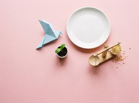 Top view of a small plant sprout and paper origami bird beside an empty plate