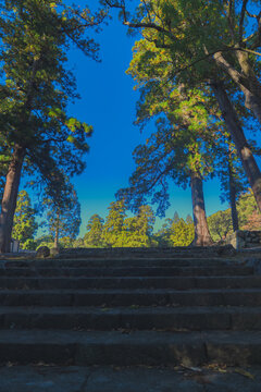 伊勢神宮の美しい風景