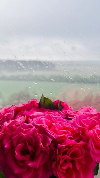 rose on the beach