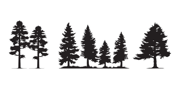 Pine tree silhouettes set, black evergreen forest vector icons, coniferous woodland landscape elements for outdoor branding