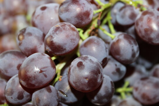 A bunch of grapes on the table