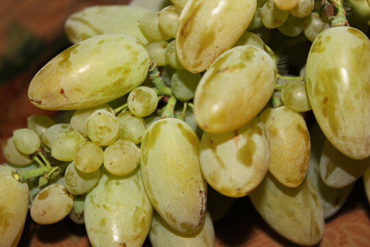 A bunch of grapes on the table