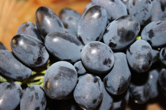 Close-up of grapes
