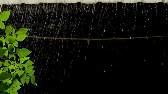 Heavy rainstorm and strong wind blowing trees