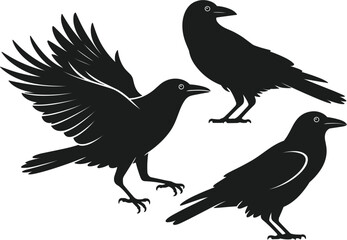 Fototapeta premium Crow silhouette vector illustration, set of black birds, wildlife animal graphic element, nature design