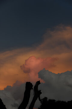 Dramatic sunset sky with orange clouds and dark storm cloud silhouette over tree branches.