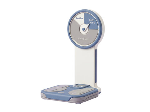 Body composition scale showing muscle mass and body fat percentage