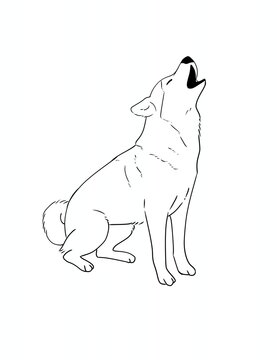 Majestic Howling Wolf or Dog Outline Drawing