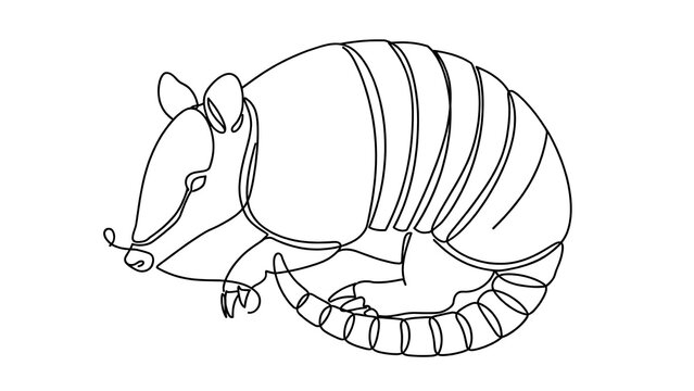 Armadillo white background simple drawing.
