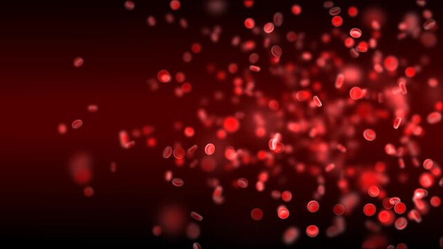 Red Blood Cells Flowing Through Microscopic Vein Medical Animation Loop 4K