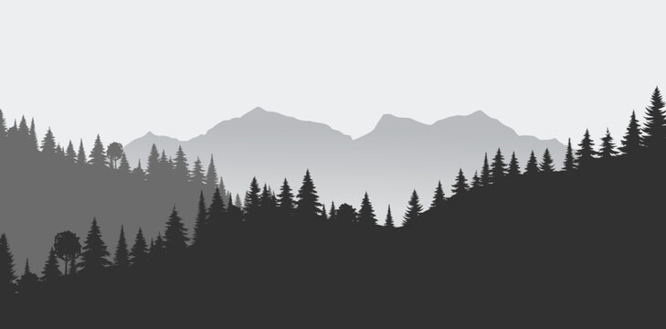Monochrome mountain landscape vector, misty pine forest silhouette, grey wilderness nature background for outdoor branding